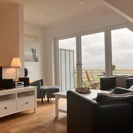 Sturmmoewe, Haus An Den Salzwiesen, * Baltrum