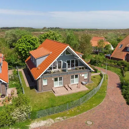 Sturmmoewe, Haus An Den Salzwiesen, Baltrum