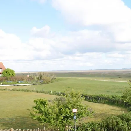 Sturmmoewe, Haus An Den Salzwiesen, Baltrum